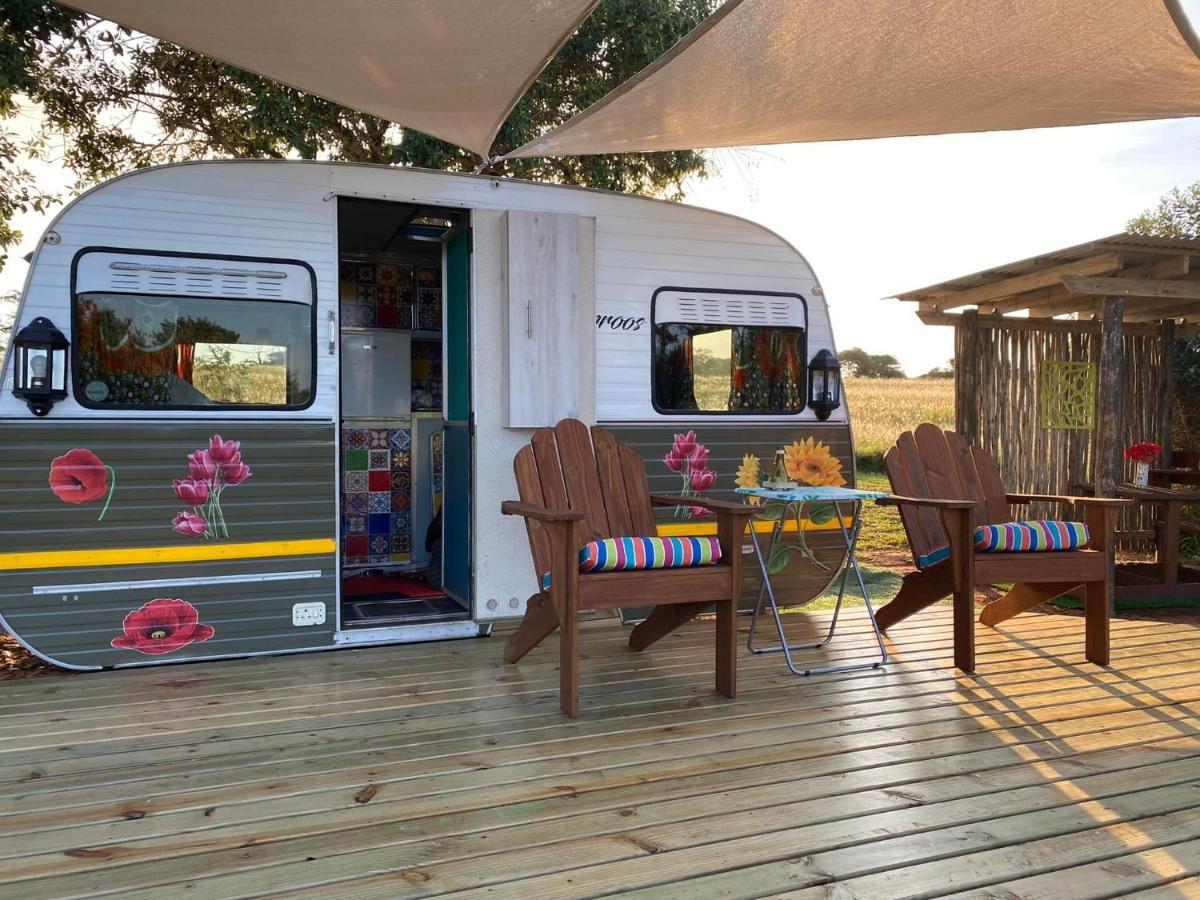 Hluhluwe Bush Camp Glamping Village エクステリア 写真